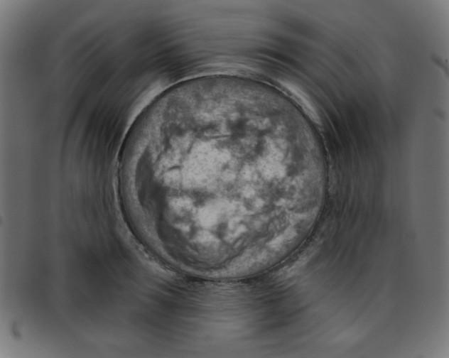 X0000096950899200803071025