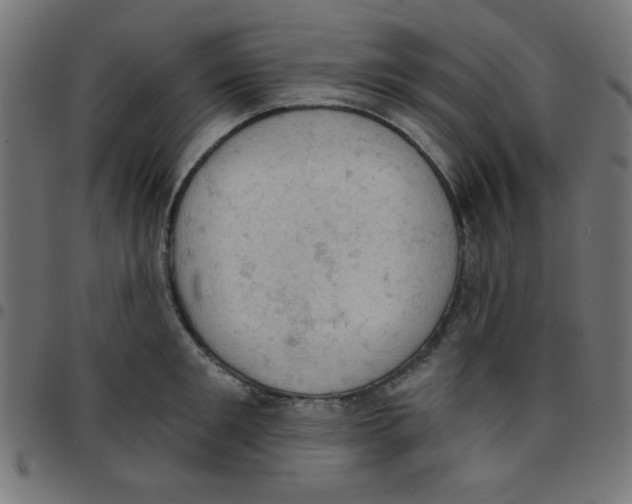 X0000096950901200803071025