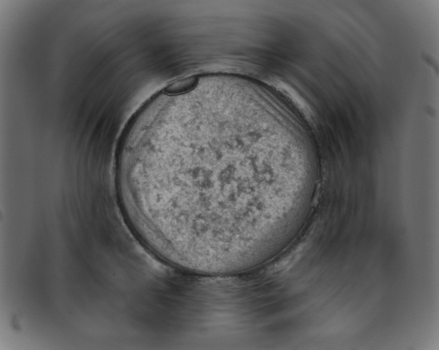X0000096950902200803071025