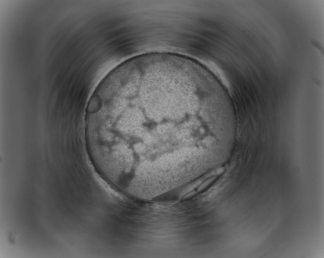X0000096950903200803071025