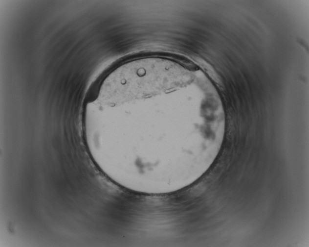 X0000096950904200803071025