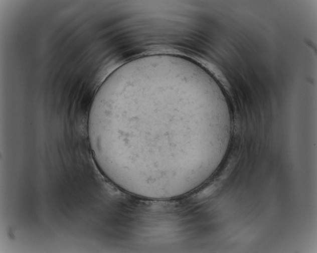 X0000096950905200803071025