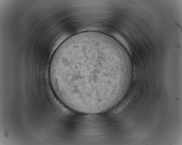 X0000096950906200803071025
