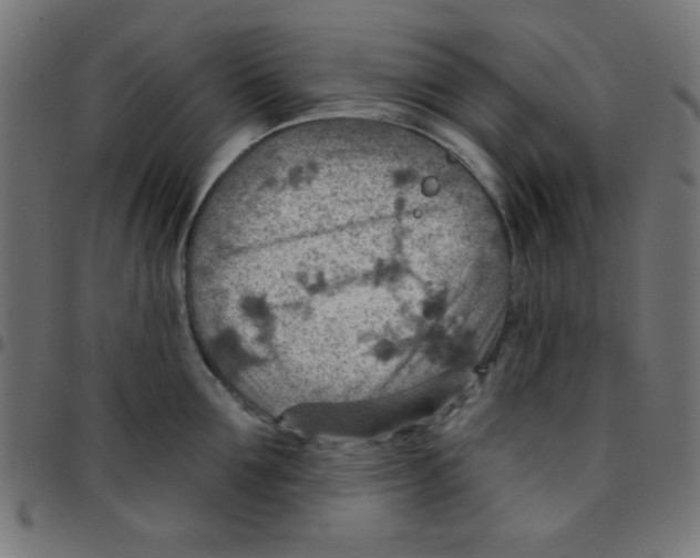 X0000096950907200803071025