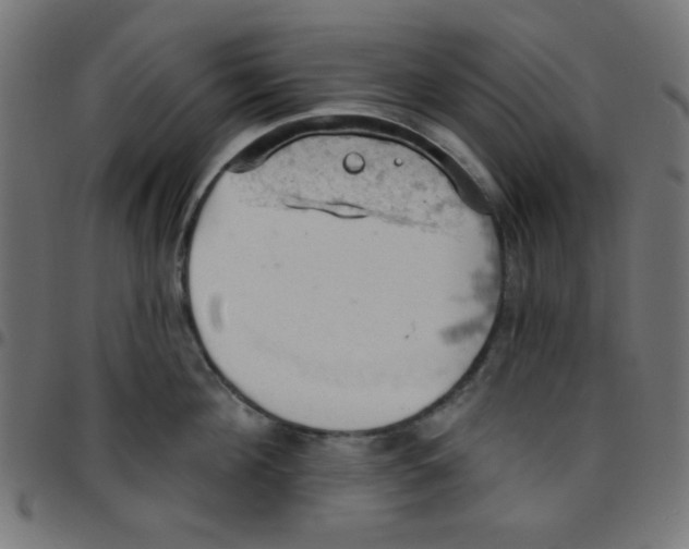 X0000096950908200803071025
