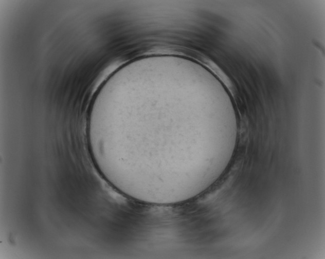 X0000096950909200803071025
