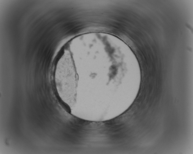 X0000096950912200803071025