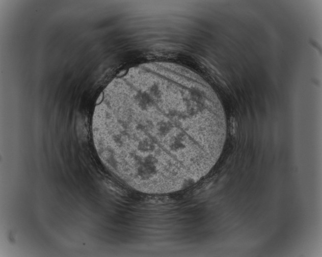 X0000096950915200803071024