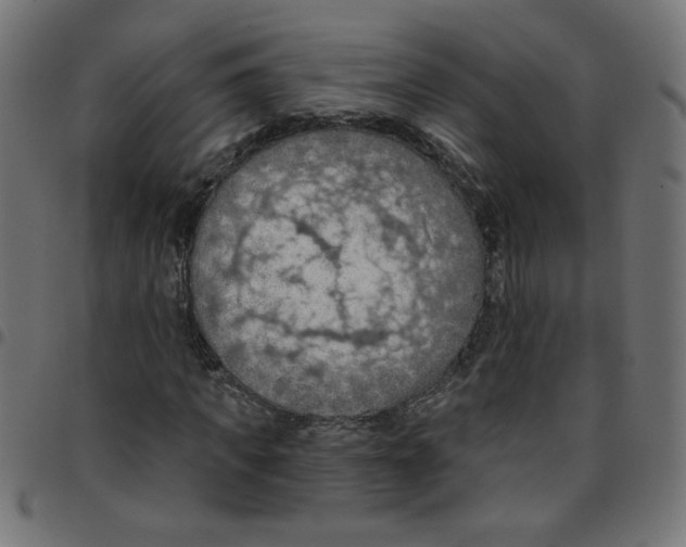X0000096950917200803071024