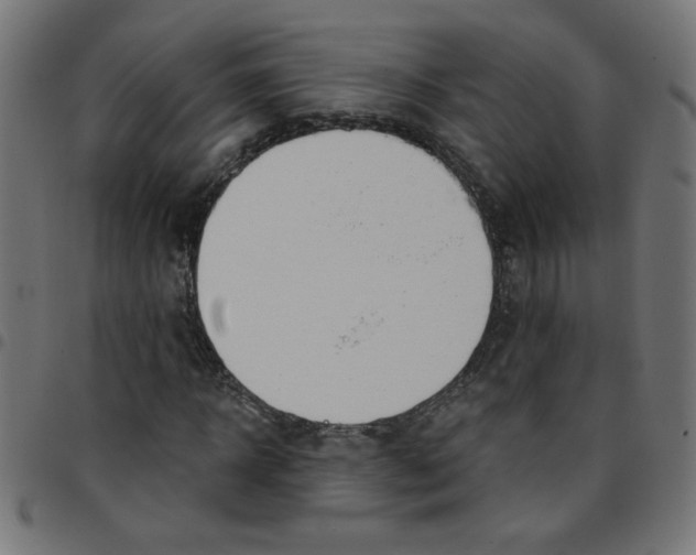 X0000096950918200803071024