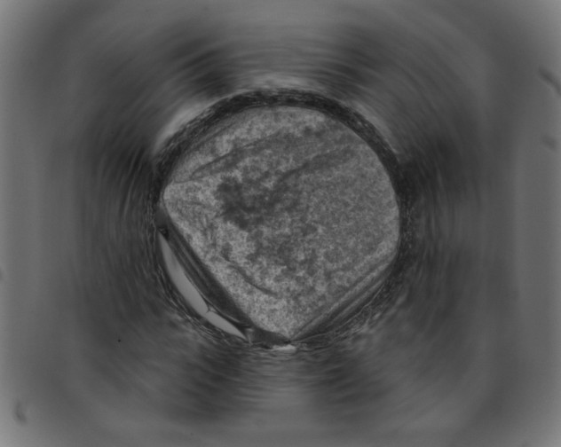 X0000096950919200803071025