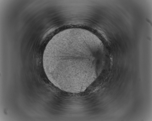 X0000096950920200803071025
