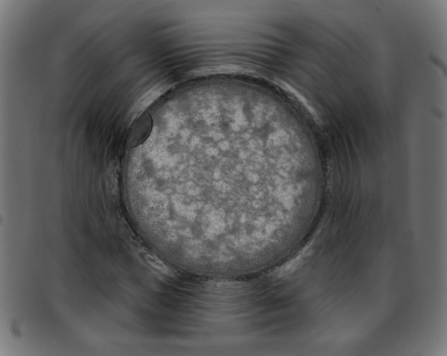X0000096950921200803071025