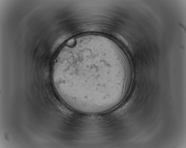 X0000096950922200803071025