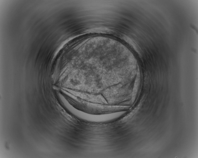 X0000096950923200803071025