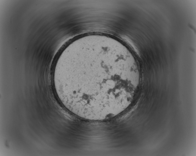 X0000096950924200803071025