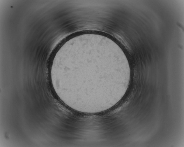 X0000096950926200803071025
