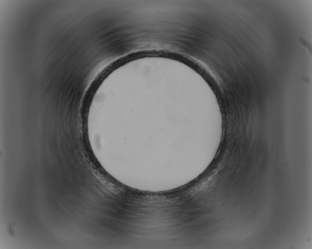 X0000096950927200803071025