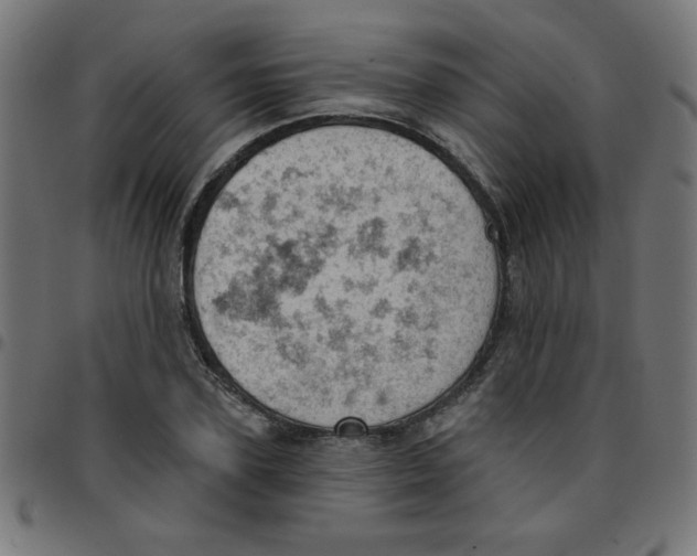 X0000096950931200803071025