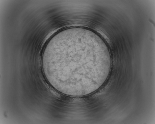 X0000096950933200803071025