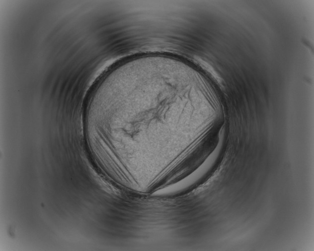 X0000096950934200803071025