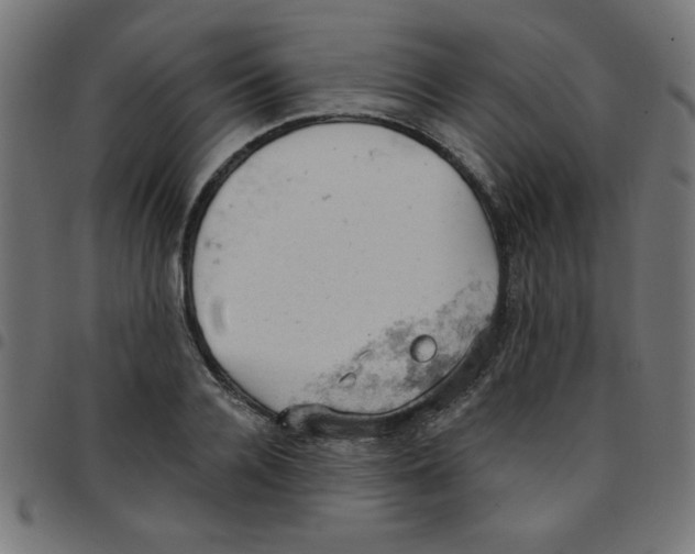 X0000096950936200803071025