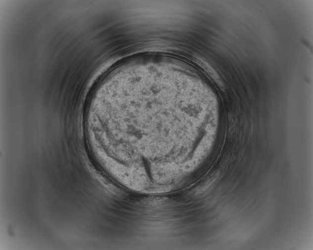 X0000096950939200803071025