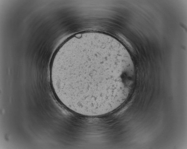 X0000096950940200803071025