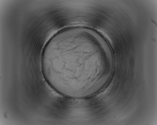 X0000096950941200803071025