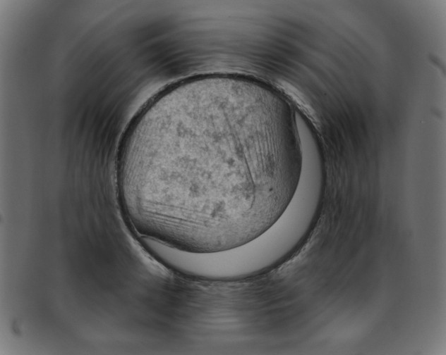 X0000096950942200803071025