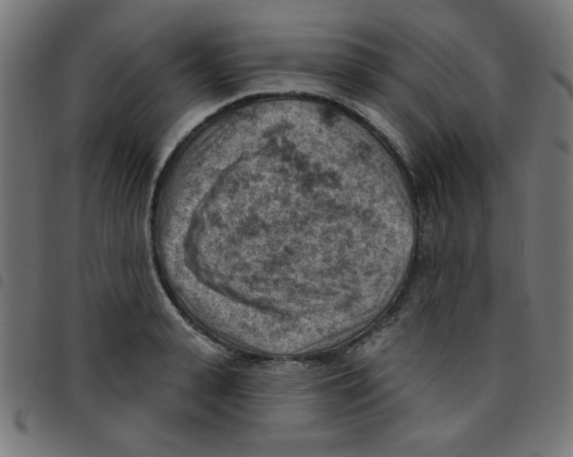 X0000096950943200803071025