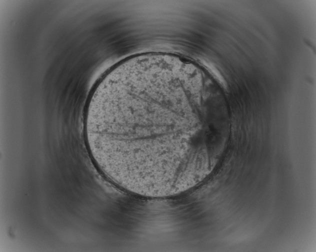 X0000096950944200803071025