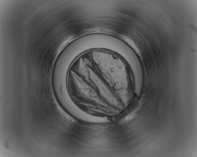 X0000096950946200803071025