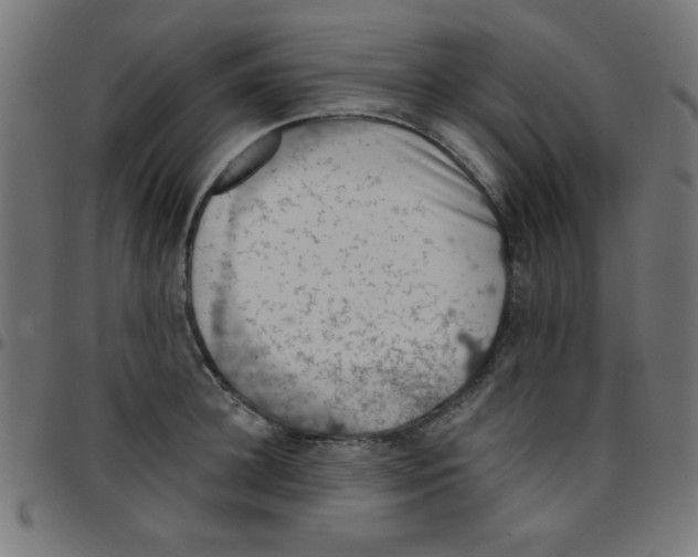 X0000096950948200803071025