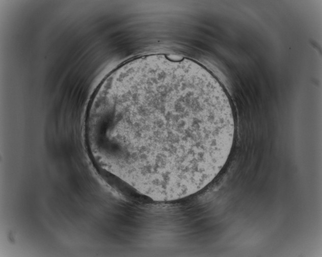 X0000096950949200803071025