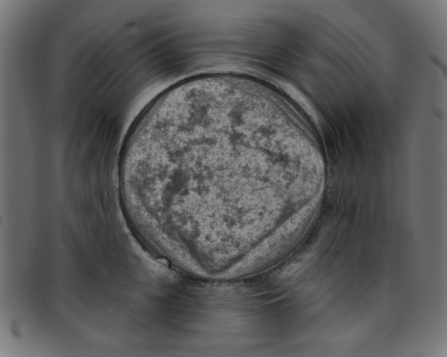 X0000096950951200803071025