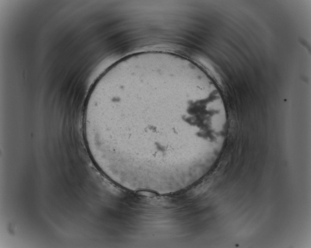 X0000096950952200803071025