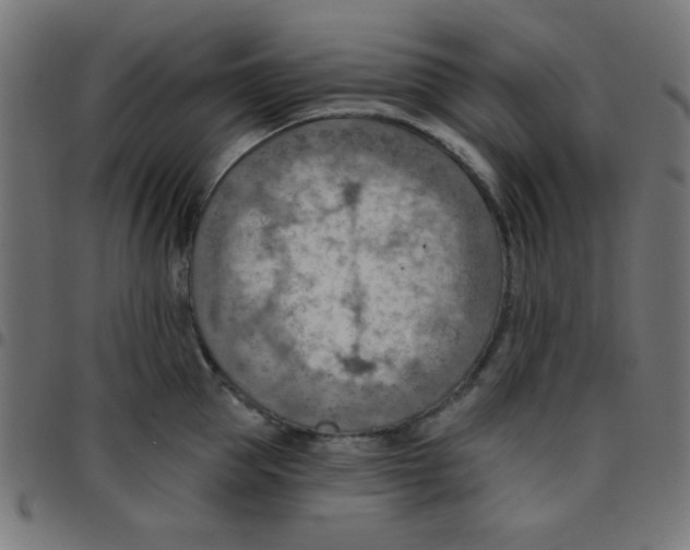 X0000096950953200803071025