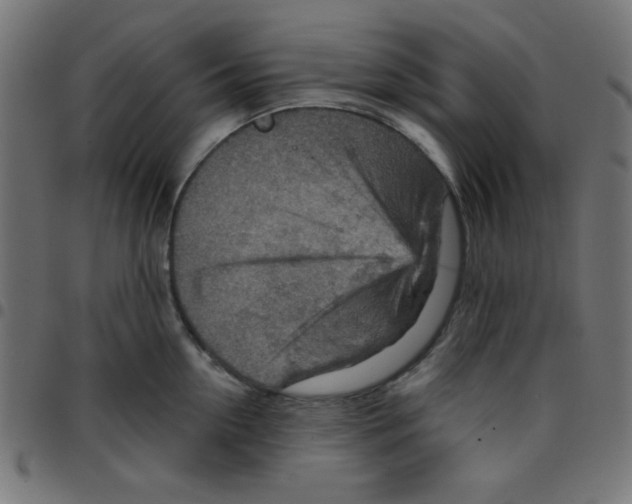 X0000096950954200803071025