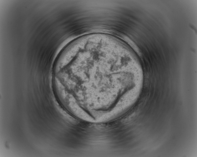 X0000096950955200803071025