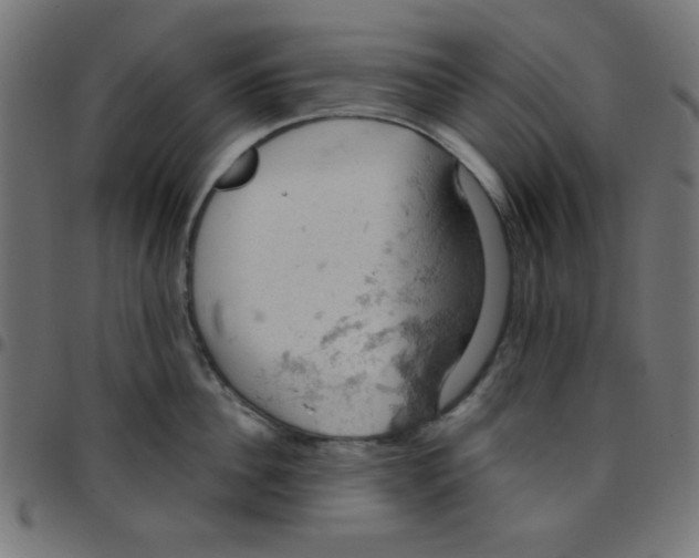 X0000096950956200803071025