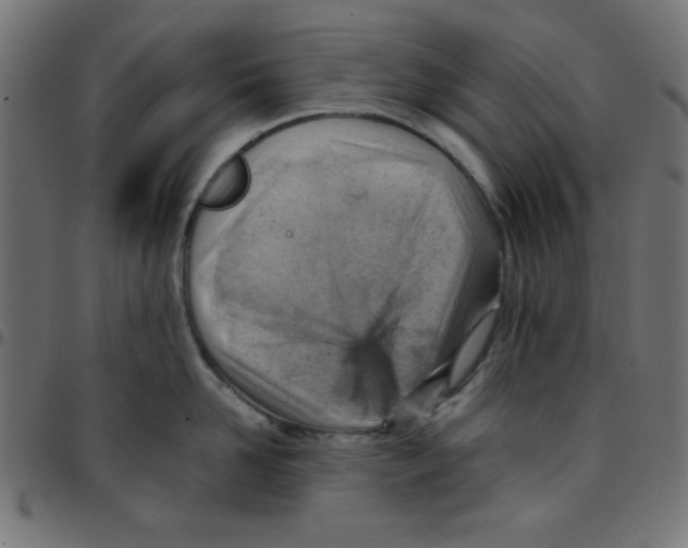 X0000096950958200803071025