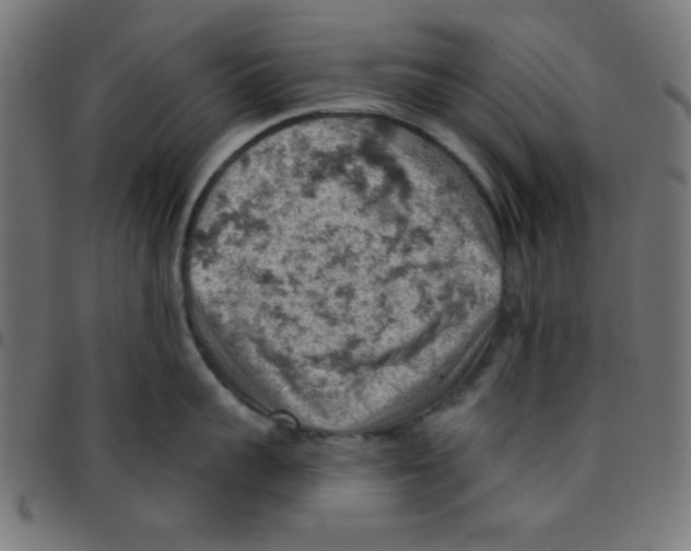 X0000096950959200803071025