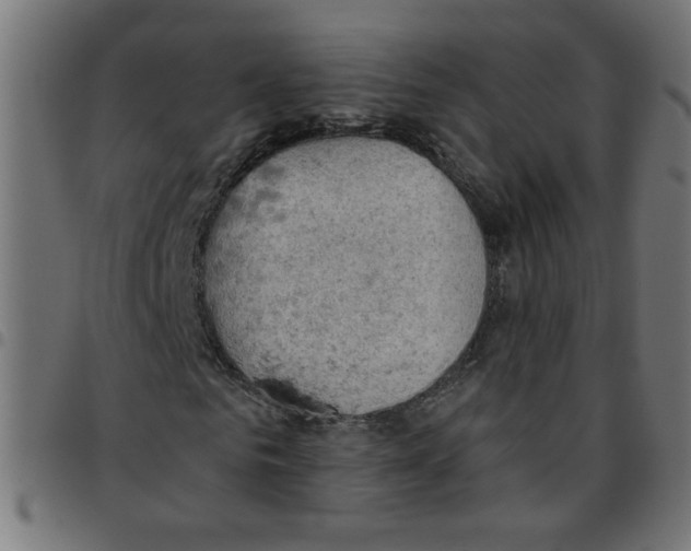 X0000096950961200803071024
