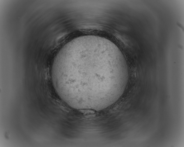 X0000096950965200803071024