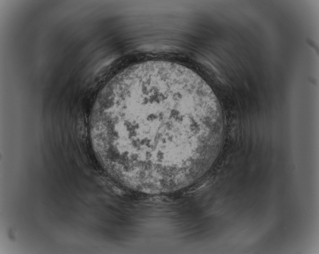 X0000096950966200803071024