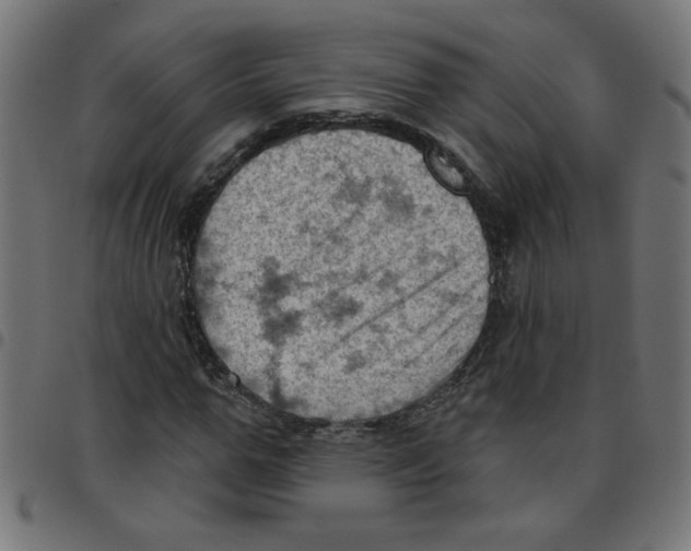 X0000096950967200803071024