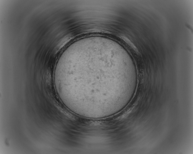 X0000096950969200803071024