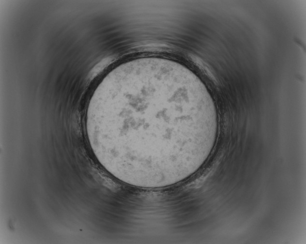 X0000096950970200803071024