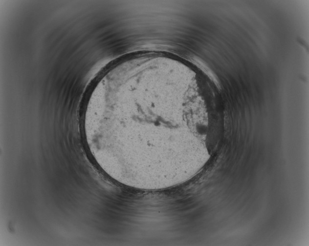 X0000096950972200803071024